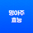 명아주 나물의 놀라운 효능과 먹는 법 : 10가지 이유 (+명아주 먹는 방법) 25
