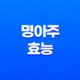 명아주 나물의 놀라운 효능과 먹는 법 : 10가지 이유 (+명아주 먹는 방법) 25