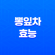 뽕잎차의 효능과 부작용 17