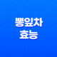 뽕잎차의 효능과 부작용 17