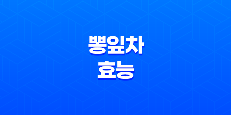 뽕잎차의 효능과 부작용 7