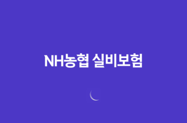NH농협 실비보험(+ 보장 내용과 선택 요령) 11