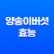 양송이버섯 효능, 영양성분, 부작용 15