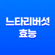 느타리버섯 효능, 효과, 부작용 21