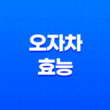 오자차 효능 및 부작용 17