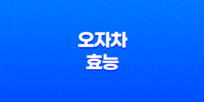 오자차 효능 및 부작용 7