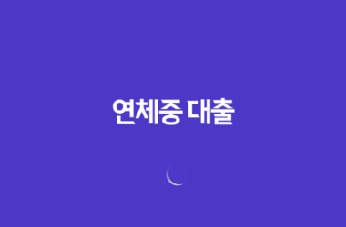 연체중 대출 가능한 방법과 조건 21