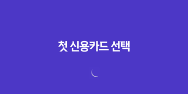 사회초년생을 위한 첫 신용카드 선택 73