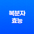 복분자 효능 총정리 19