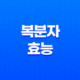 복분자 효능 총정리 19
