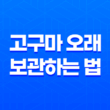 5가지 고구마 오래 보관하는 법 15