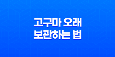 5가지 고구마 오래 보관하는 법 55