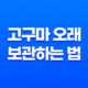 5가지 고구마 오래 보관하는 법 17
