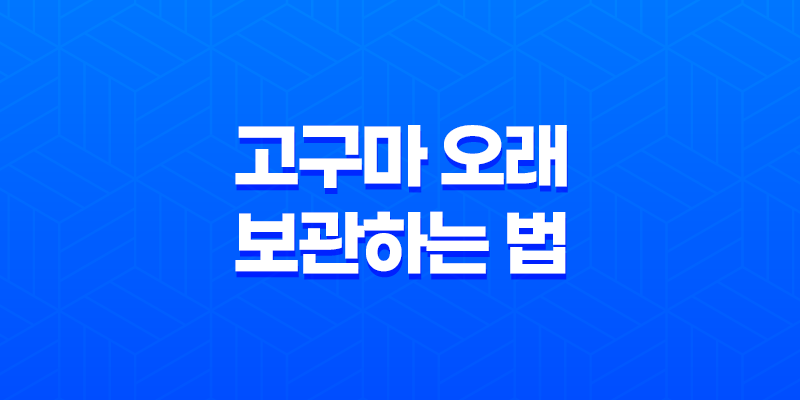 5가지 고구마 오래 보관하는 법 8 5가지 고구마 오래 보관하는 법 7