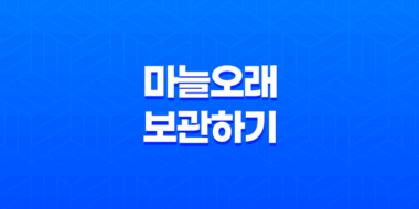 껍질을 벗긴 마늘 오래 보관하기 43