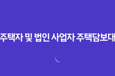 다주택자 및 법인 사업자 주택담보대출 허용 25