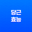 당근의 효능과 건강에 좋은 이유 15