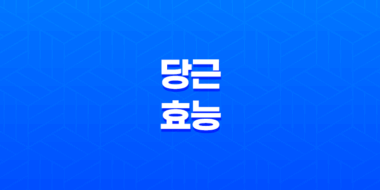 당근의 효능과 건강에 좋은 이유 71