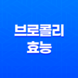 브로콜리 효능과 부작용 17