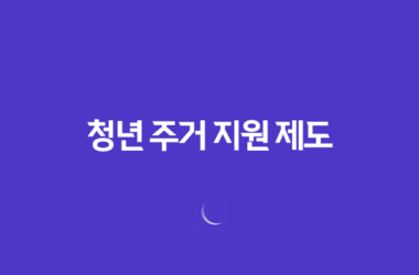 청년 주거 지원 제도 공공임대와 민간임대 주택 29