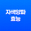 자색양파의 다양한 효능과 영양 19