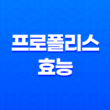 프로폴리스 효능, 부작용, 복용법 21