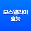 보스웰리아 분말 효능과 섭취 방법 19