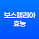 보스웰리아 분말 효능과 섭취 방법 19