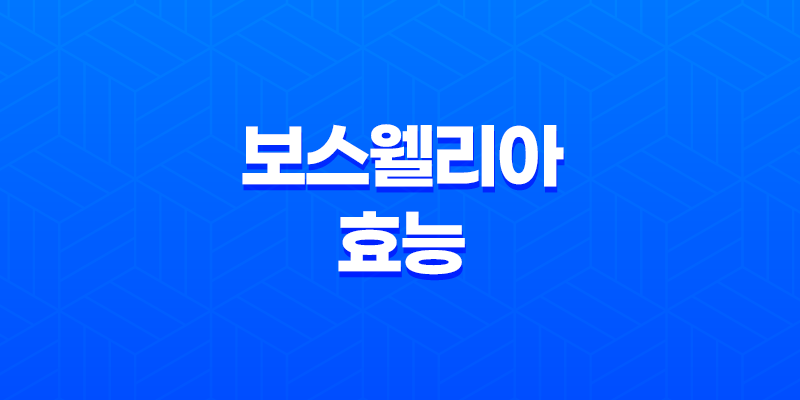 보스웰리아 분말 효능과 섭취 방법 7