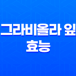 그라비올라 잎의 12가지 효능과 부작용 21