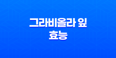 그라비올라 잎의 12가지 효능과 부작용 47