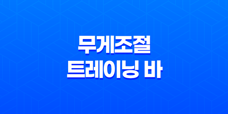 최고의 홈트레이닝 용품(+ 무게조절 트레이닝 바) 8 최고의 홈트레이닝 용품(+ 무게조절 트레이닝 바) 7