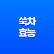 쑥차(+ 무병장수를 위한 한방 음료) 15