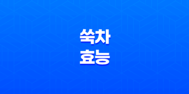 쑥차(+ 무병장수를 위한 한방 음료) 51