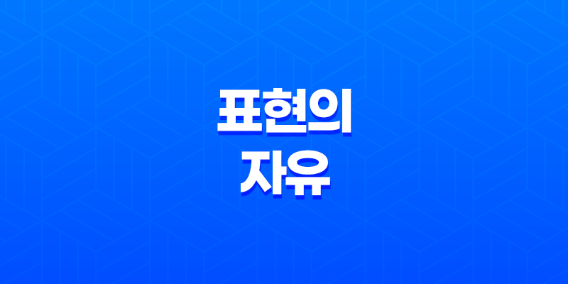 표현의 자유, 인간의 핵심적인 권리와 제한 8 표현의 자유, 인간의 핵심적인 권리와 제한 7