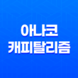 아나코 캐피탈리즘(+ 자유시장의 극치를 향한 도전) 11