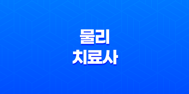 물리치료사 직업과 진로 8 물리치료사 직업과 진로 7