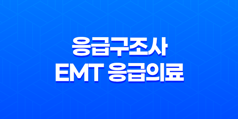 응급구조사와 EMT 응급의료 현장의 영웅들 8 응급구조사와 EMT 응급의료 현장의 영웅들 7