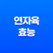 연자육 다양한 효능과 맛, 껍질 벗기는 방법 27
