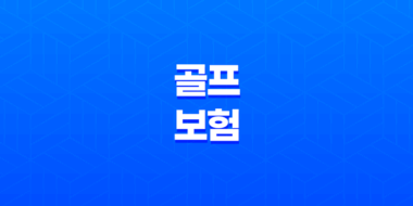 골프보험이 꼭 필요한걸까요, 홀인원보험 비교하기 25