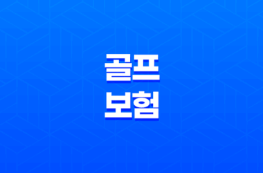 골프보험이 꼭 필요한걸까요, 홀인원보험 비교하기 21