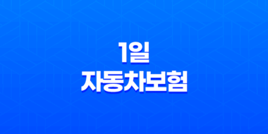 1일자동차보험 및 원데이 자동차보험 가입 41