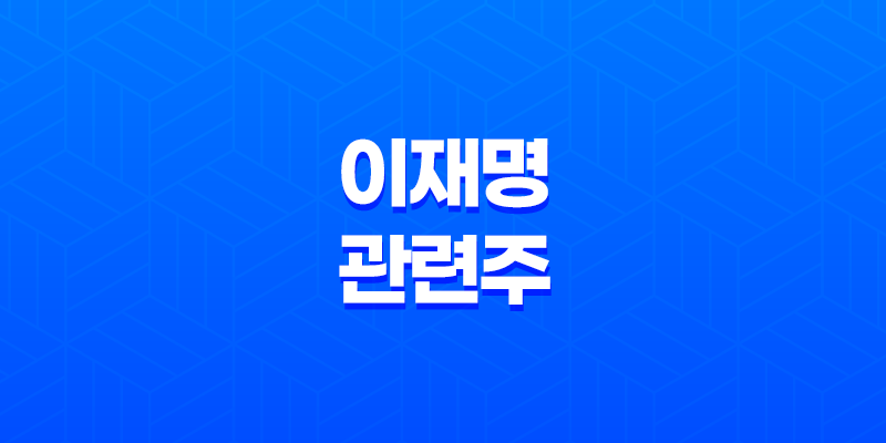 이재명 관련주 대장주 TOP 8 및 투자 주의사항 8 이재명 관련주 대장주 TOP 8 및 투자 주의사항 7
