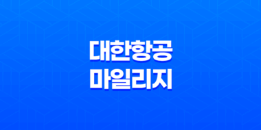 대한항공 소멸 예정 마일리지 활용 가이드(+ 대한항공 마일리지) 37