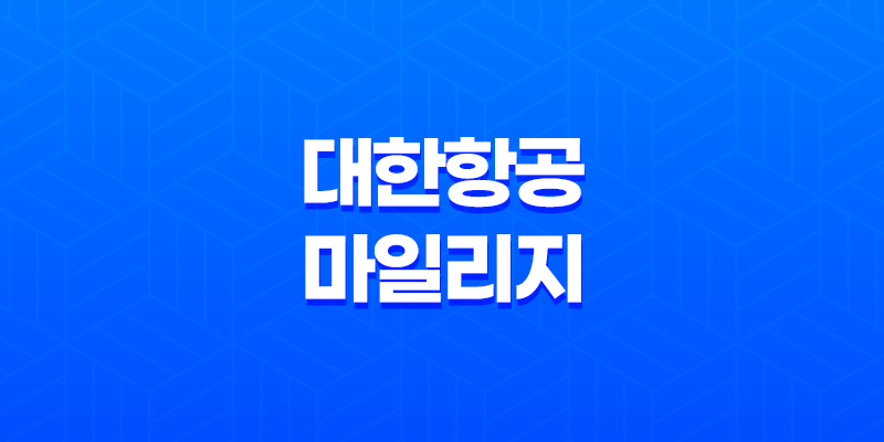 대한항공 소멸 예정 마일리지 활용 가이드(+ 대한항공 마일리지) 8 대한항공 소멸 예정 마일리지 활용 가이드(+ 대한항공 마일리지) 7