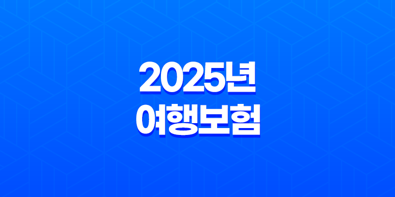 2025년 여행보험(+ 특별한 보장 더 추가?) 8 2025년 여행보험(+ 특별한 보장 더 추가?) 7