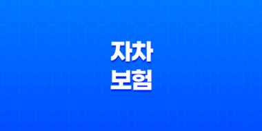 자차 보험 - 내 차 수리비 보장, 필수인가 선택인가? 33