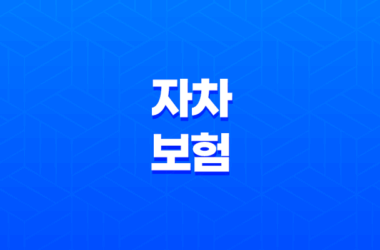 자차 보험 - 내 차 수리비 보장, 필수인가 선택인가? 25