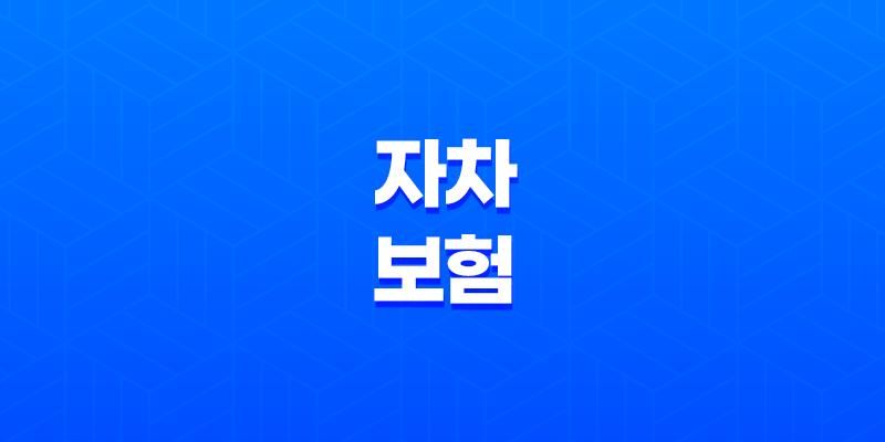 자차 보험 - 내 차 수리비 보장, 필수인가 선택인가? 7