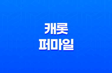 캐롯 퍼마일(+ 보험료 후기 7가지 꿀팁 대방출) 17